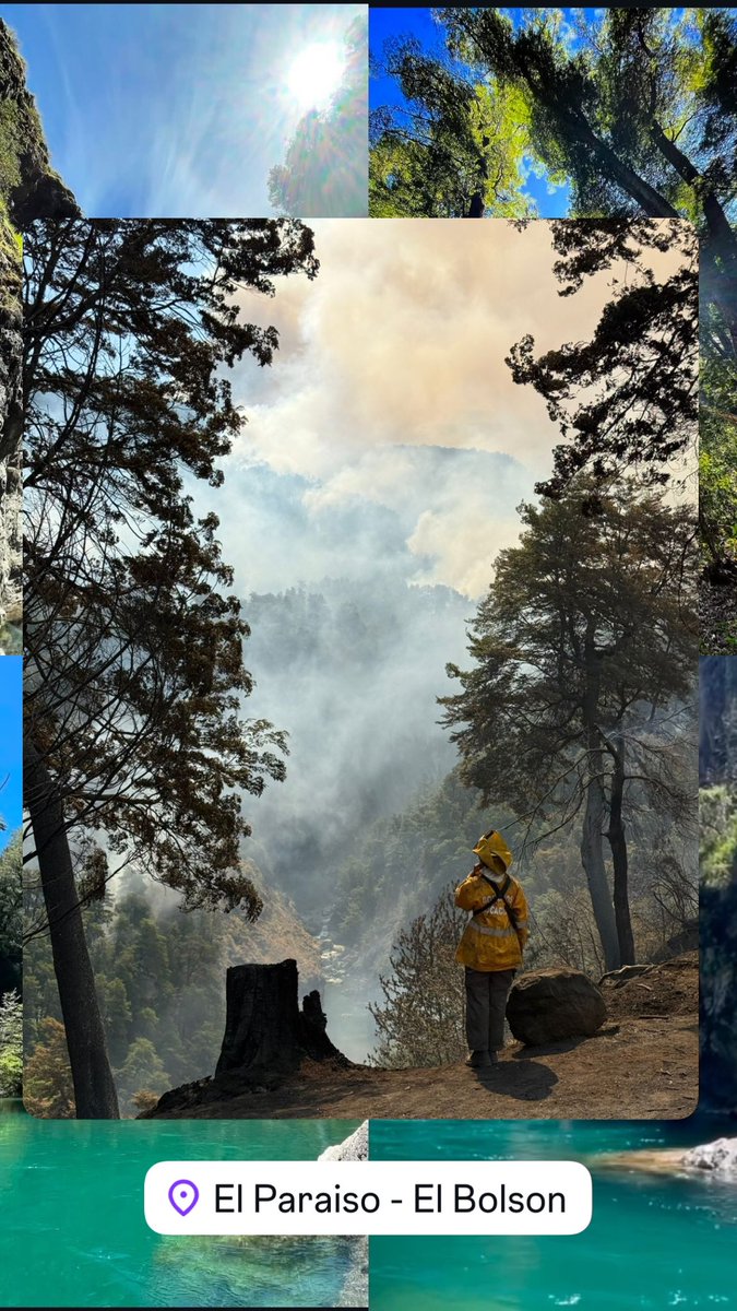 🚨 | TRAGEDIA EN EL BOLSÓN 🇦🇷

❗ El sector conocido como El Paraíso, famoso por sus aguas cristalinas en el Río Azul, fue consumido por las llamas anoche. Incendios forestales descontrolados avanzan en la región, con evacuaciones masivas y cientos de hectáreas arrasadas.

🔻