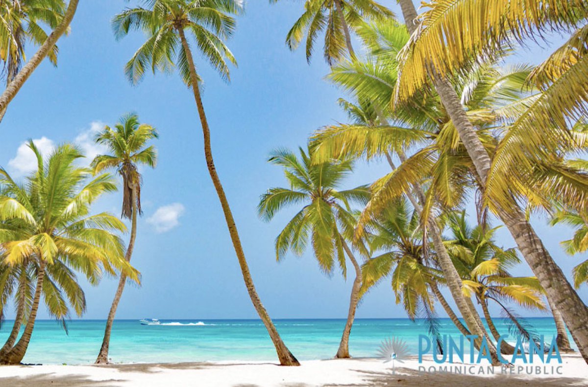 Vaughan_Realtor's tweet photo. YOUR VIP CONSULTANT FOR PUNTA CANA, DOMINICAN REPUBLIC 
For Complete details and to register for a detailed seminar email me at 
CLAUDIO@CLAUDIOCAMPOLI.COM
Own a Piece of Paradise 
Hassle-Free Investment with Oceana, the iconic residential development in Bávaro, Punta Cana. https://t.co/PLJa6AviIn