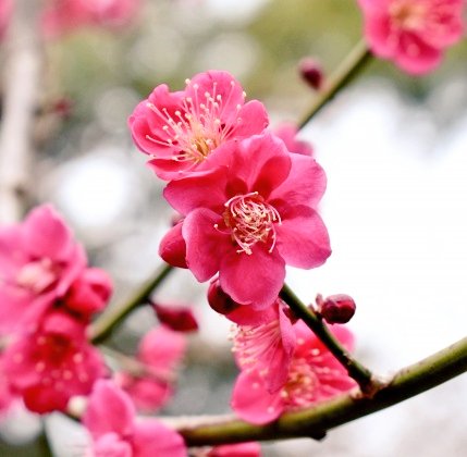 おはようございます🩷 ̖́-🩷 ̖́-(^O^)(💖ᴗ͈ˬᴗ͈)ﾍﾟｺﾘ｡:.ﾟஐ⋆*🌷🌱🌸🌿🌼☘️🌈😘😘😘❤❤❤❤✨✨✨🌈💓⋆͛♡⋆͛🍬🍬〜♪。.:＊・゜♪。.:＊・゜💗💕💖💞💝💘💓🥰💕💕✨🌹•*¨*•...🌺..｡.:*🌷(͒ ᴖ ·̫ ᴖ⸝⸝ )͒♪❤️🥰😘😍😚🫶🏻🎀🩷🌸🌷🌼🌷🌸ꕤ୭*(*˘︶˘*).｡.:*♡