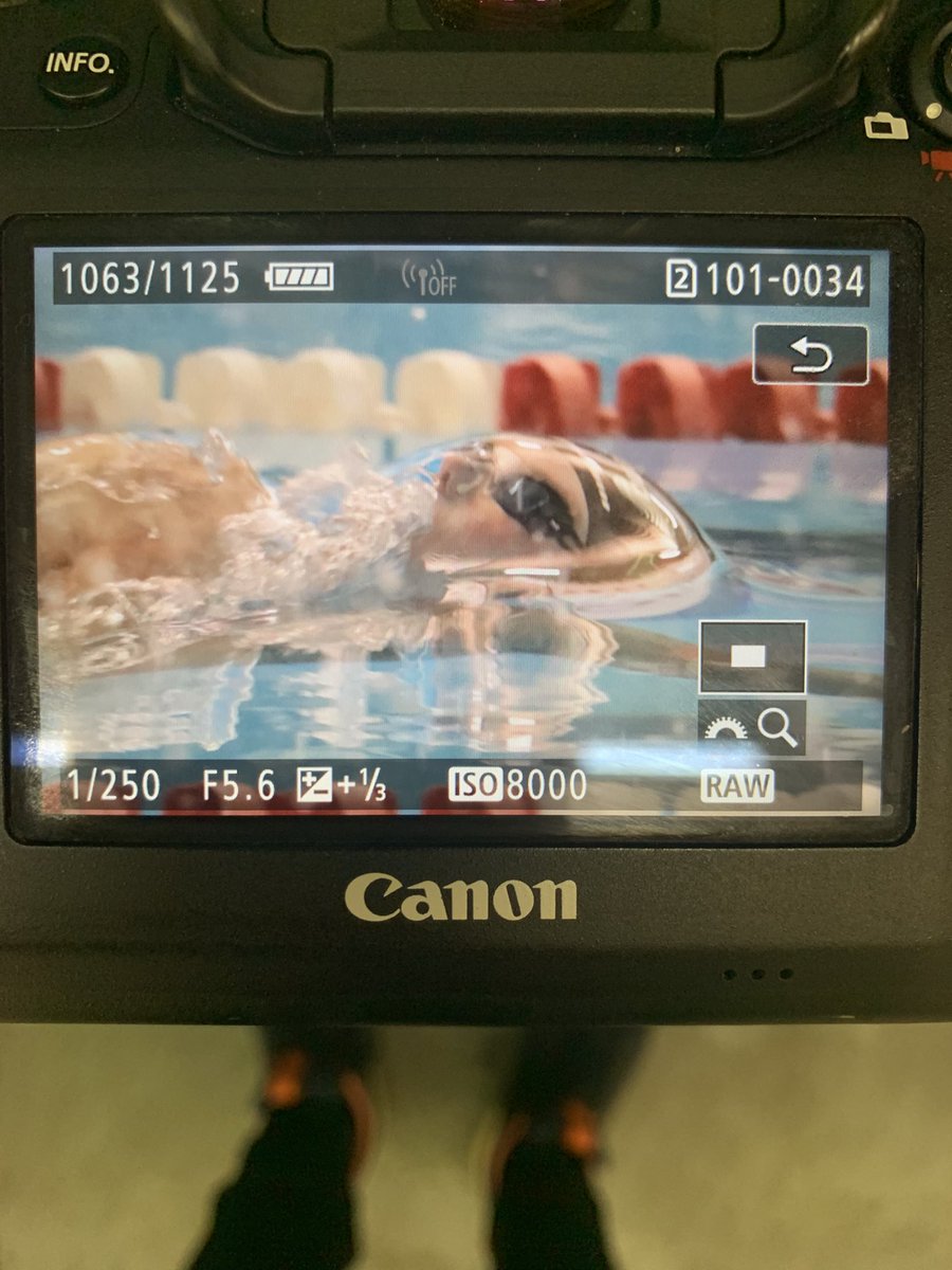 StXTigerSwim's tweet image. The Tigers punch the automatic ticket to the KHSAA championships in Lexington.  Congrats to Mercer, York, Wilcox, &amp;amp; Theising!!! #ChipsCam #OneRoad