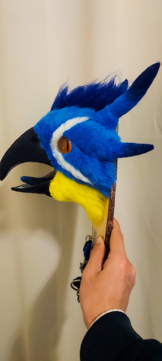 🦅櫻舞🦅 tweet media