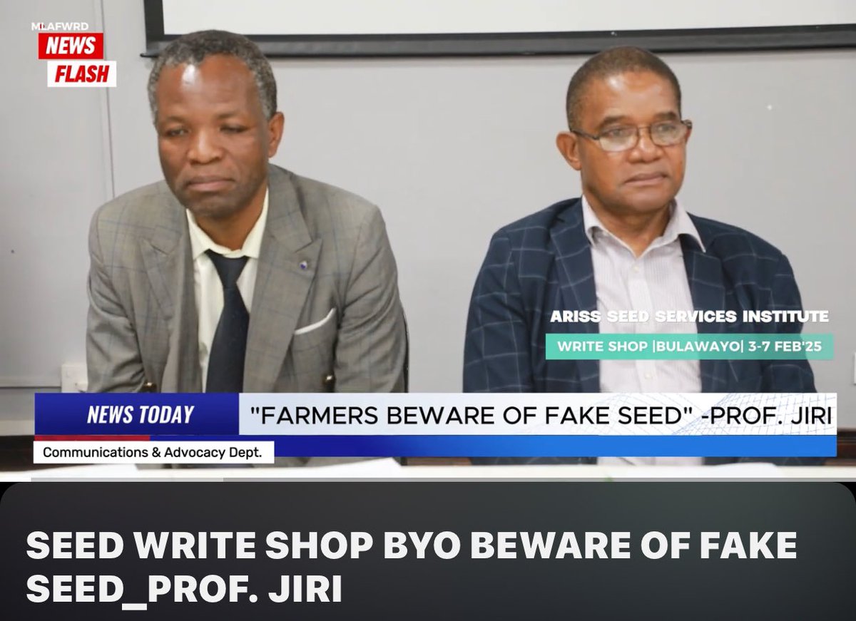 MoLAFWRD_Zim's tweet image. This collaborative approach brings together farmers, researchers, policymakers, and the private sector to ensure a holistic approach that benefits all stakeholders. 

#SeedCertification 
#AFSRTS 
#AgriculturalTransformation 
#sadcseed 
#foodsecurity