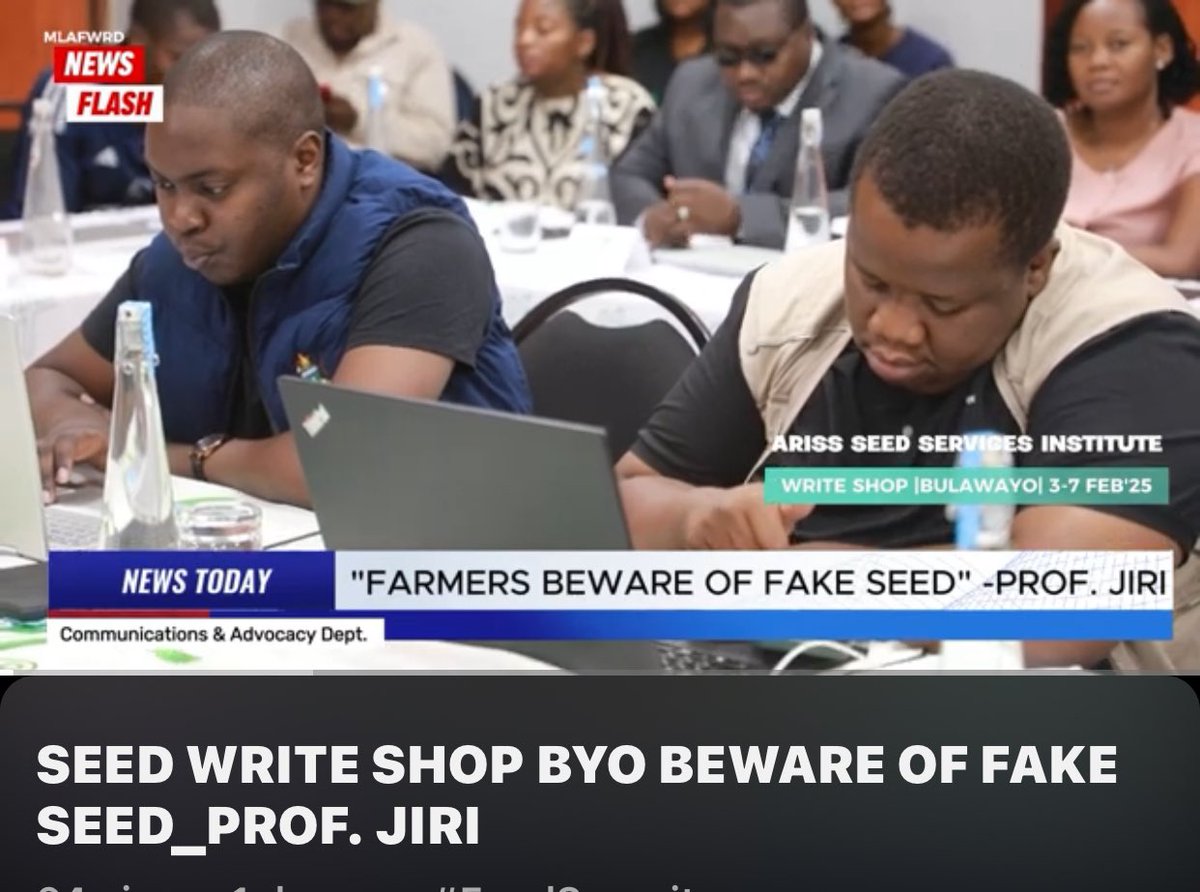 MoLAFWRD_Zim's tweet image. This collaborative approach brings together farmers, researchers, policymakers, and the private sector to ensure a holistic approach that benefits all stakeholders. 

#SeedCertification 
#AFSRTS 
#AgriculturalTransformation 
#sadcseed 
#foodsecurity