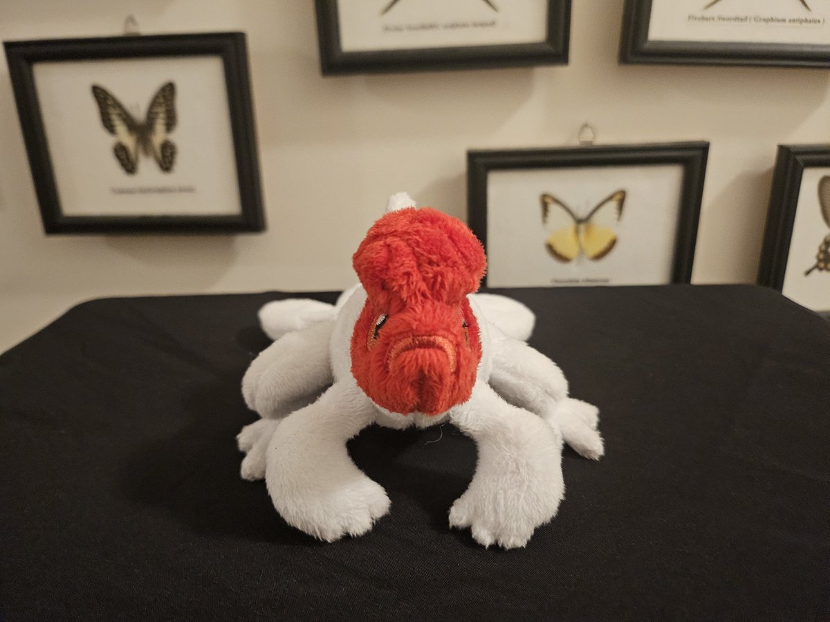 plushypuppy's tweet image. Pond hopper is getting a revision! Bigger, poutier, fishyer. 

I just finished this prototype and am trying to sell him quickly so I can get some takeout tonight.
 $75, free shipping domestic, first come, first serve.