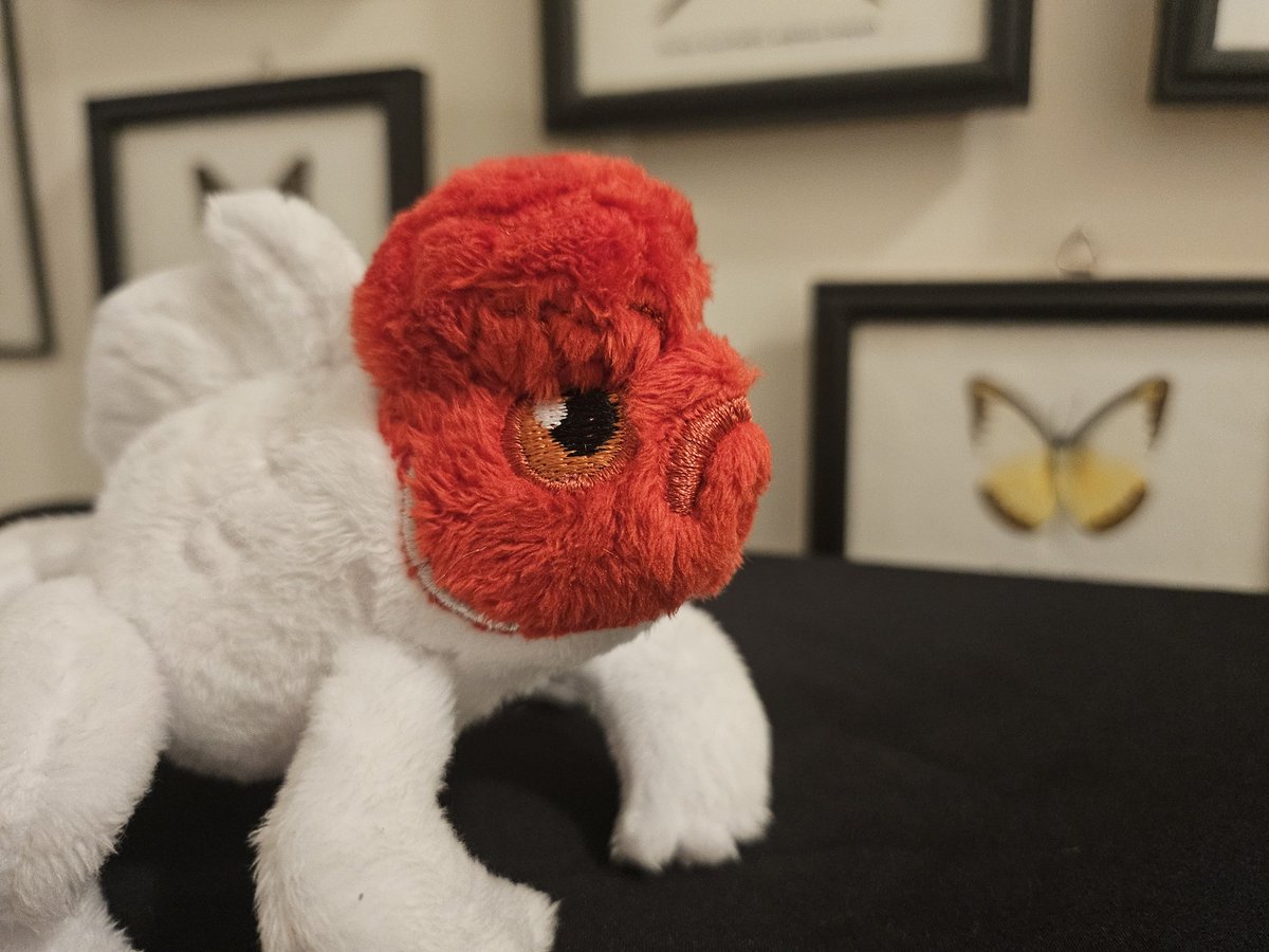plushypuppy's tweet image. Pond hopper is getting a revision! Bigger, poutier, fishyer. 

I just finished this prototype and am trying to sell him quickly so I can get some takeout tonight.
 $75, free shipping domestic, first come, first serve.
