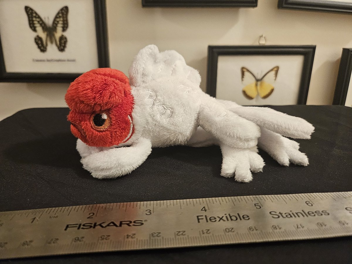plushypuppy's tweet image. Pond hopper is getting a revision! Bigger, poutier, fishyer. 

I just finished this prototype and am trying to sell him quickly so I can get some takeout tonight.
 $75, free shipping domestic, first come, first serve.