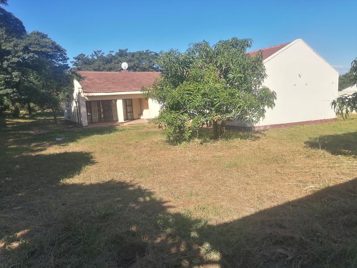 btmutasa's tweet photo. Bindura house, 5 bedrooms, on 3500m²,  located aprox 1.5km from the CBD and 500m from Bindura University FSE campus, it's a residential / investment property, ideal for a Boarding house, BnB, private school, Lodge. Cession, 120k, 0715671763 / 0783648097 https://t.co/PdClvmbVHc https://t.co/PN65RdWcXi