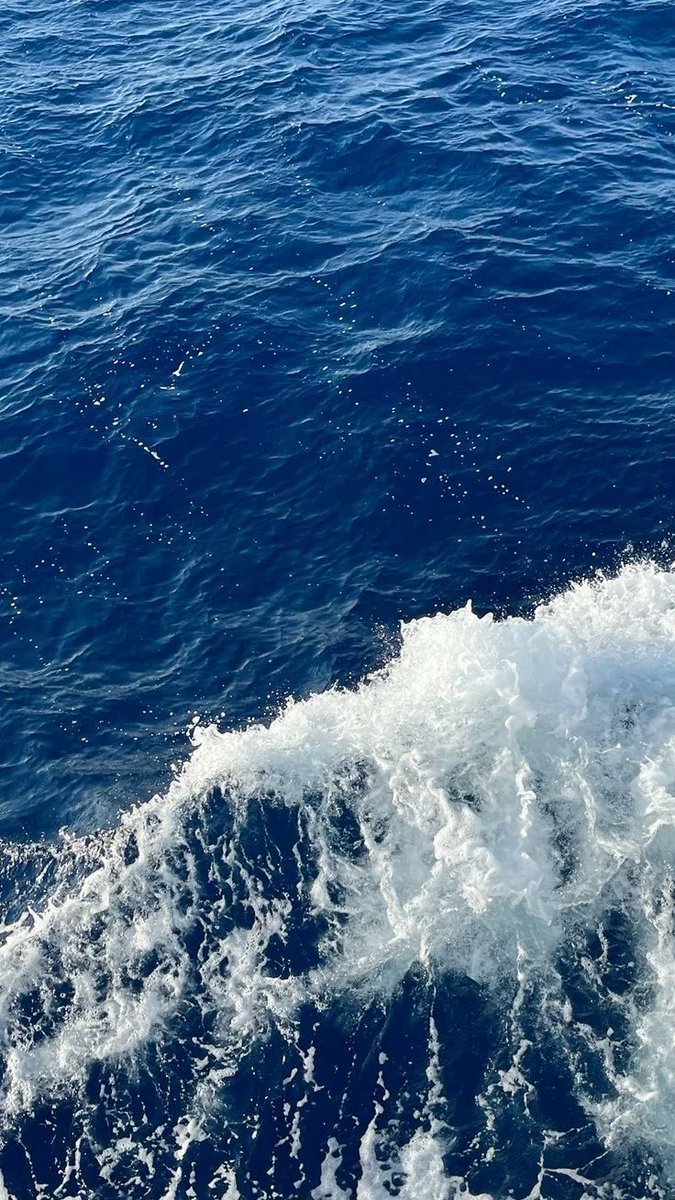 kiwiairene's tweet image. 