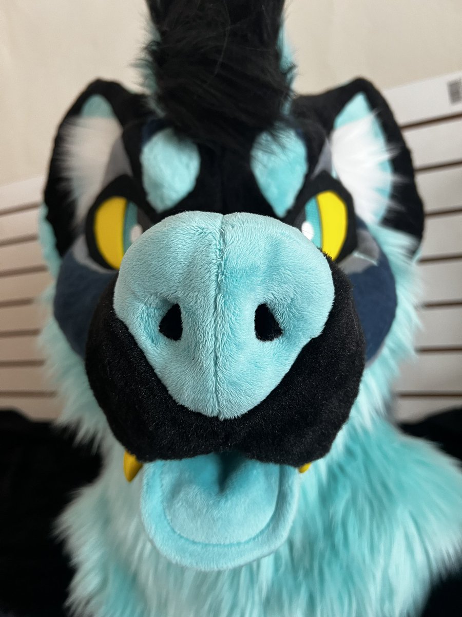 D0ctor_Dingo's tweet image. 👀