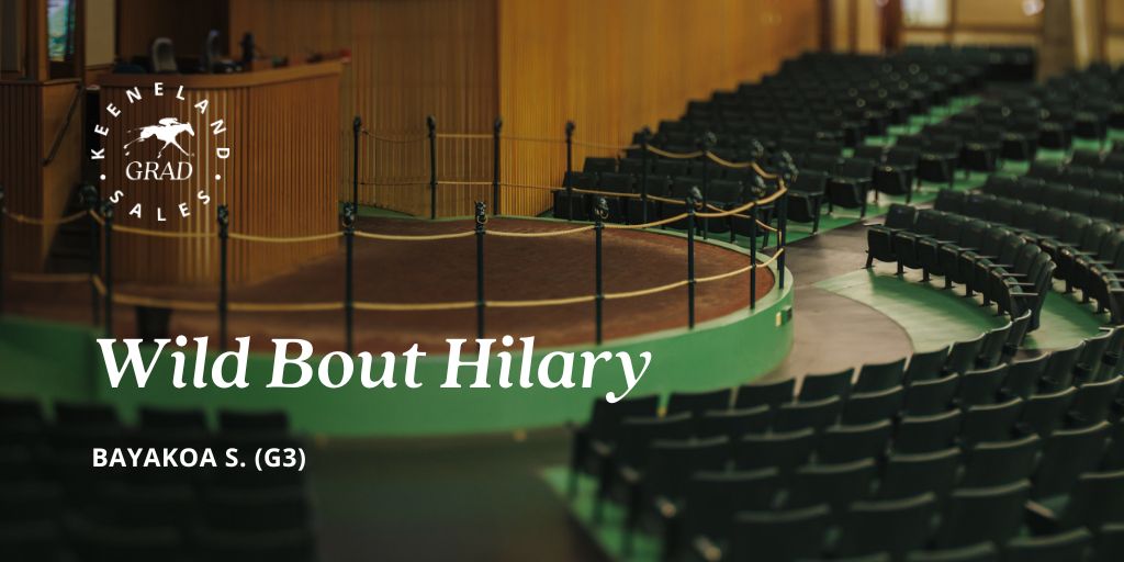 Keeneland Sales (@keenelandsales) on Twitter photo #KeeSept grad WILD BOUT HILARY victorious in the Bayakoa S. (G3) tonight at <a href="/OaklawnRacing/">Oaklawn Hot Springs</a>! Congratulations to consignor <a href="/vinerysales/">Vinery Sales</a>, breeder <a href="/ClearskyFarm/">Clearsky Farms</a>, owner 5 Finger Racing, buyer Brady Lund and trainer Tanner Tracy! #KeeSept grad WILD BOUT HILARY victorious in the Bayakoa S. (G3) tonight at <a href="/OaklawnRacing/">Oaklawn Hot Springs</a>! Congratulations to consignor <a href="/vinerysales/">Vinery Sales</a>, breeder <a href="/ClearskyFarm/">Clearsky Farms</a>, owner 5 Finger Racing, buyer Brady Lund and trainer Tanner Tracy!