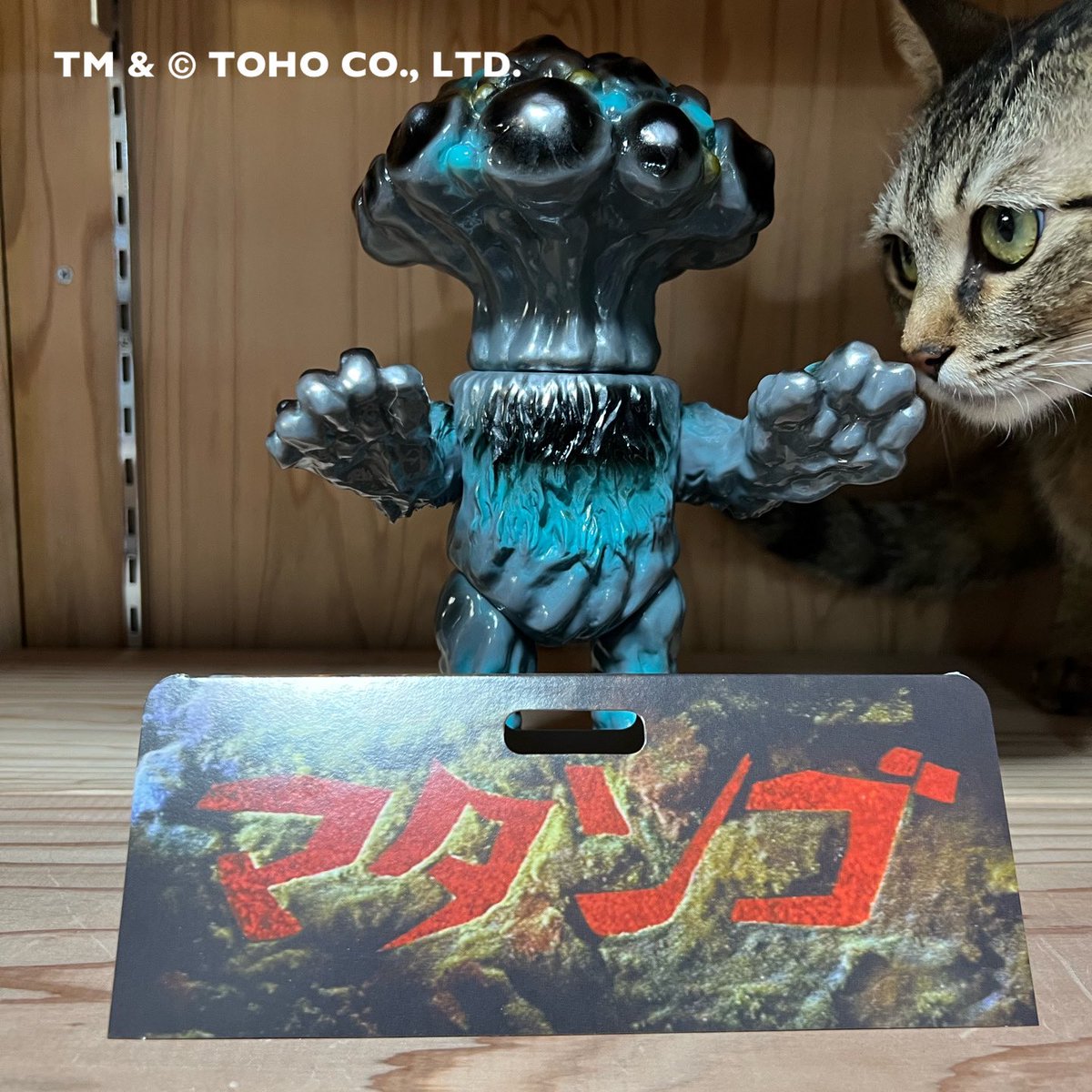 抽選当選品 wf2025 シラハマトイ マタンゴ ワンフェス 抽選当選品 wf2025 シラハマトイ マタンゴ ワンフェス 抽選当選