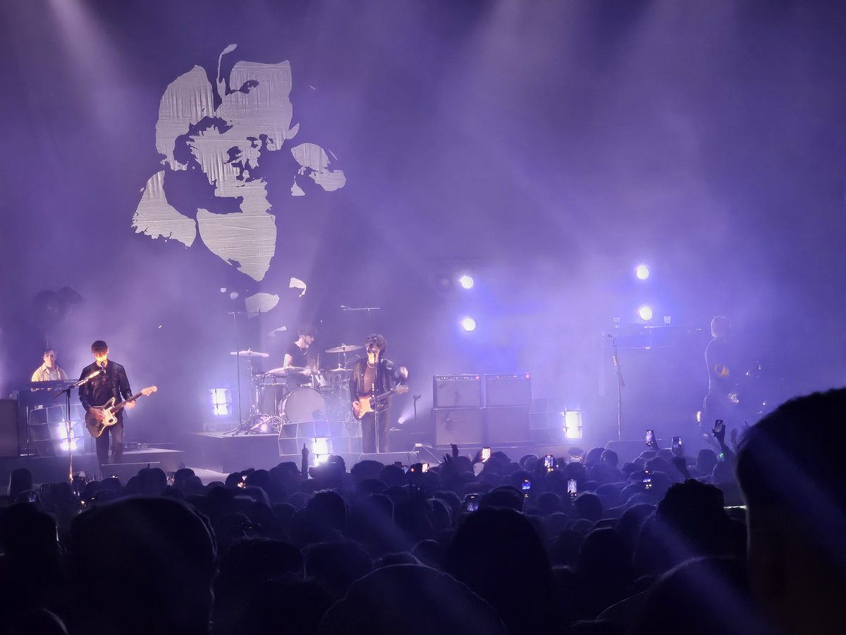 Zobear 🐻 tweet media