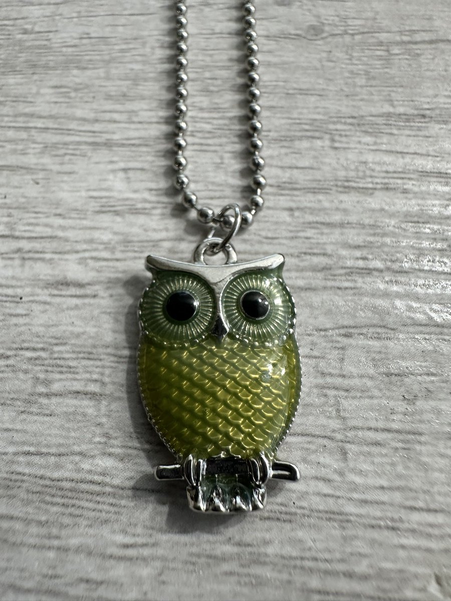RoyalPixie2's tweet photo. Owls of Wisdom 🦉 https://t.co/ixXz6O8u6l