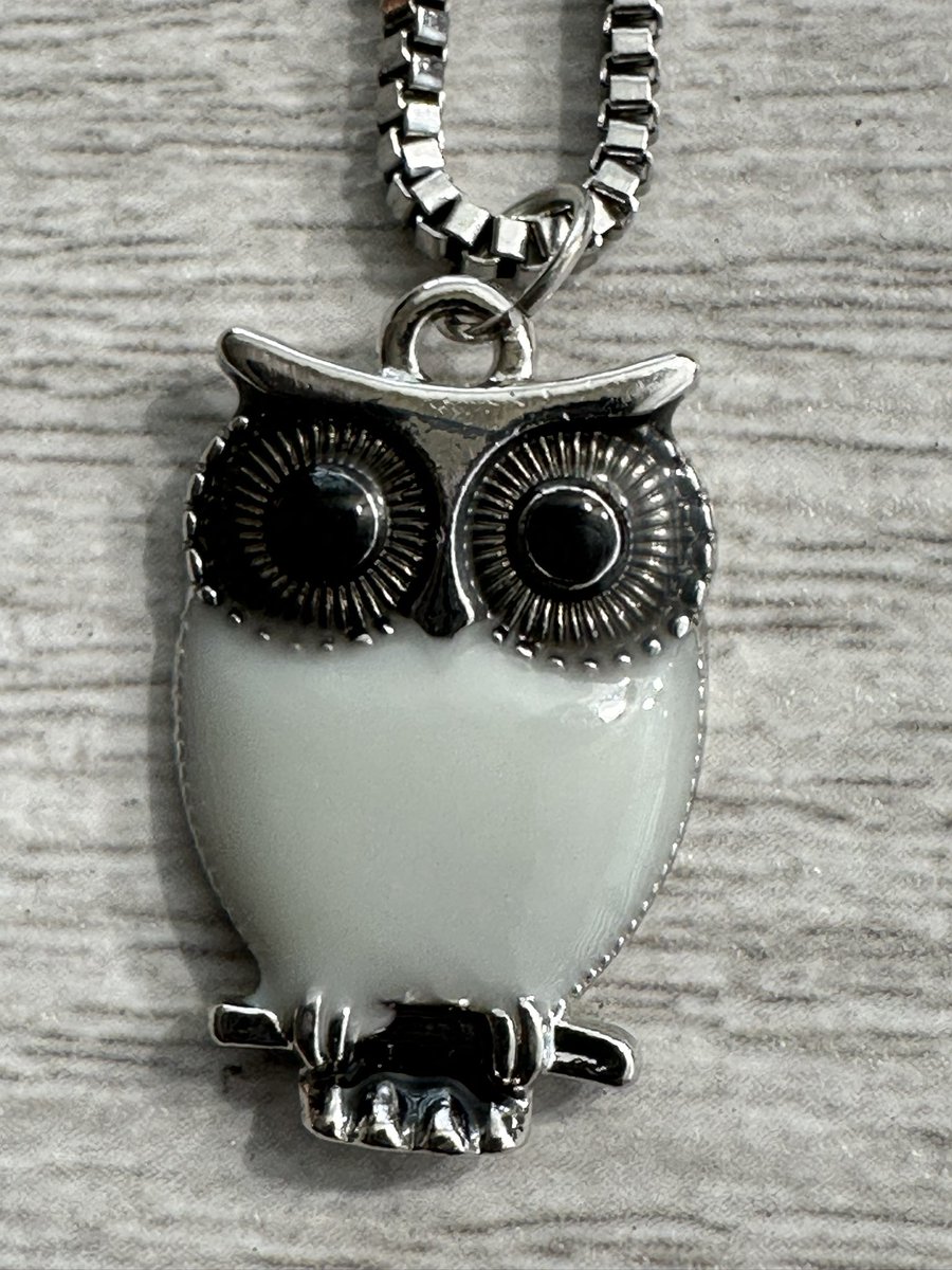 RoyalPixie2's tweet photo. Owls of Wisdom 🦉 https://t.co/ixXz6O8u6l
