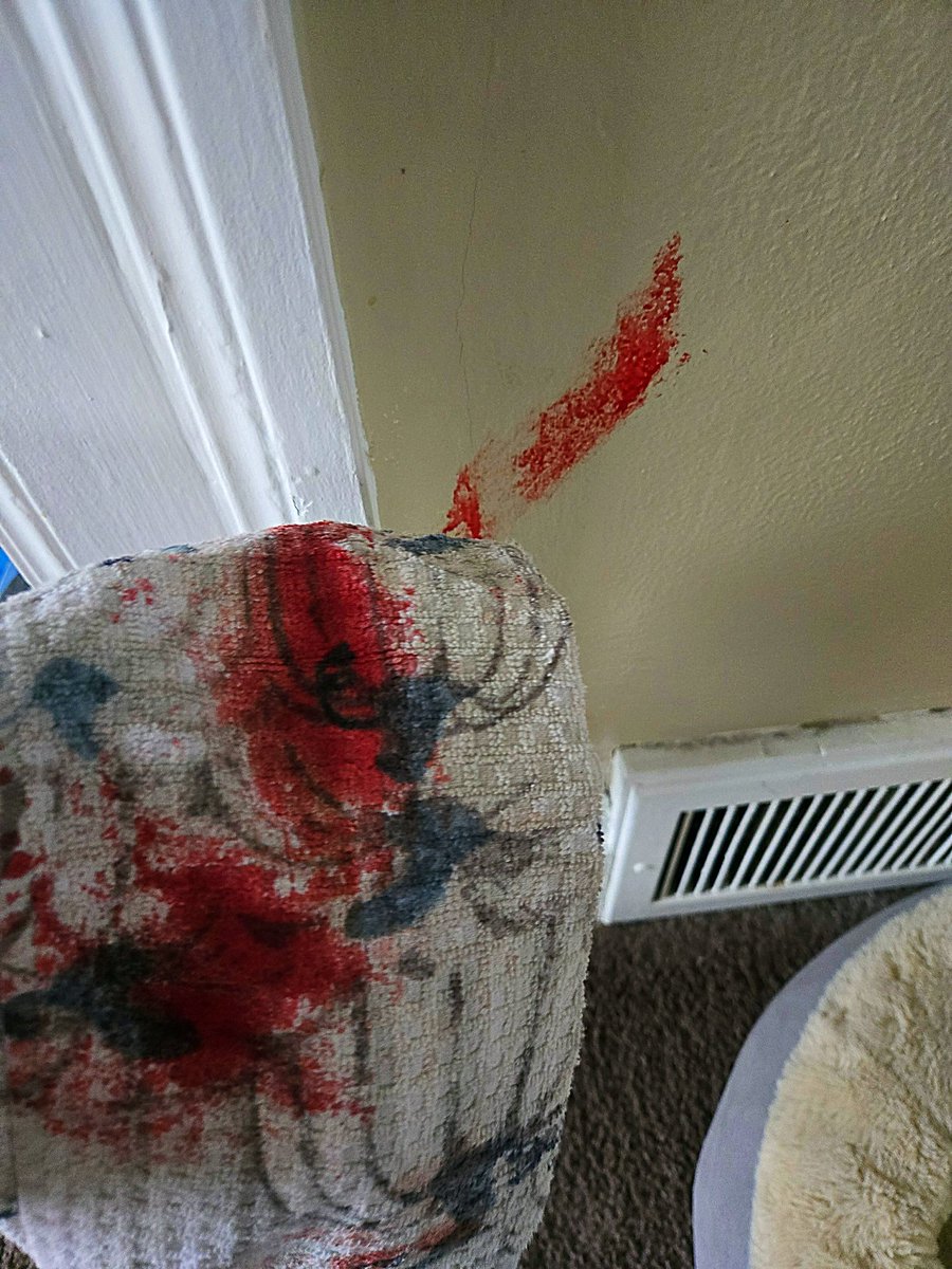 VivaLaCoin tweet media