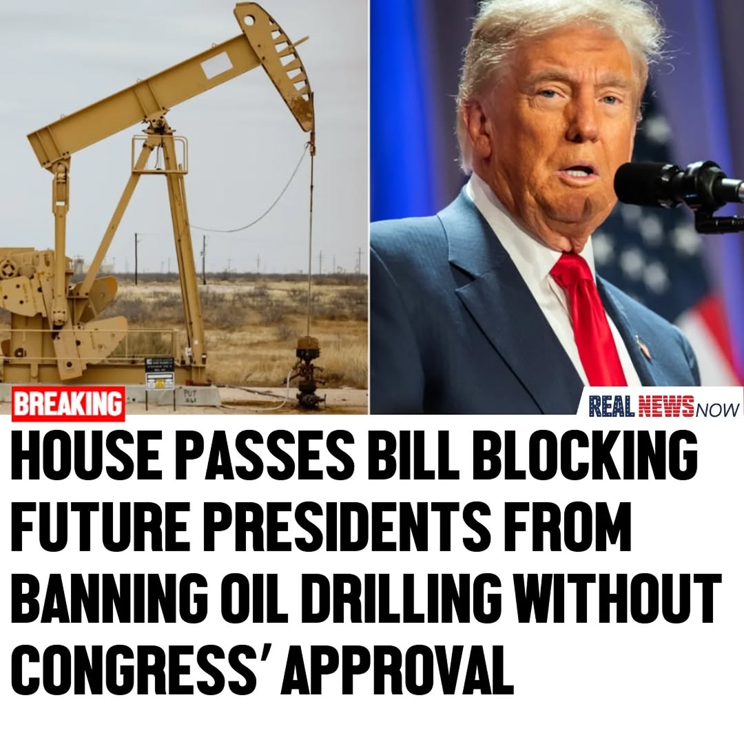 💋🩵 Tallulah tweet media