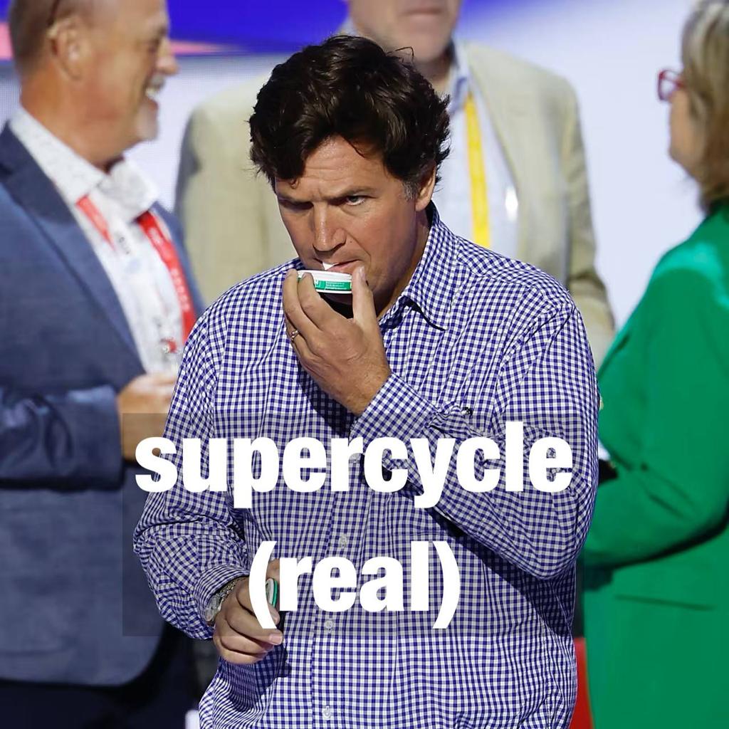 sigh bear (real) tweet media