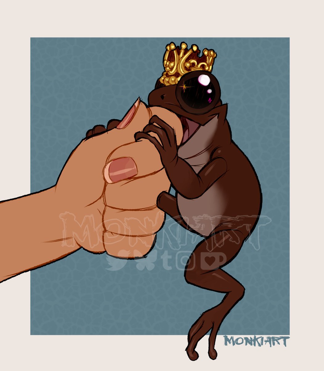 Silly pet frog doodles!