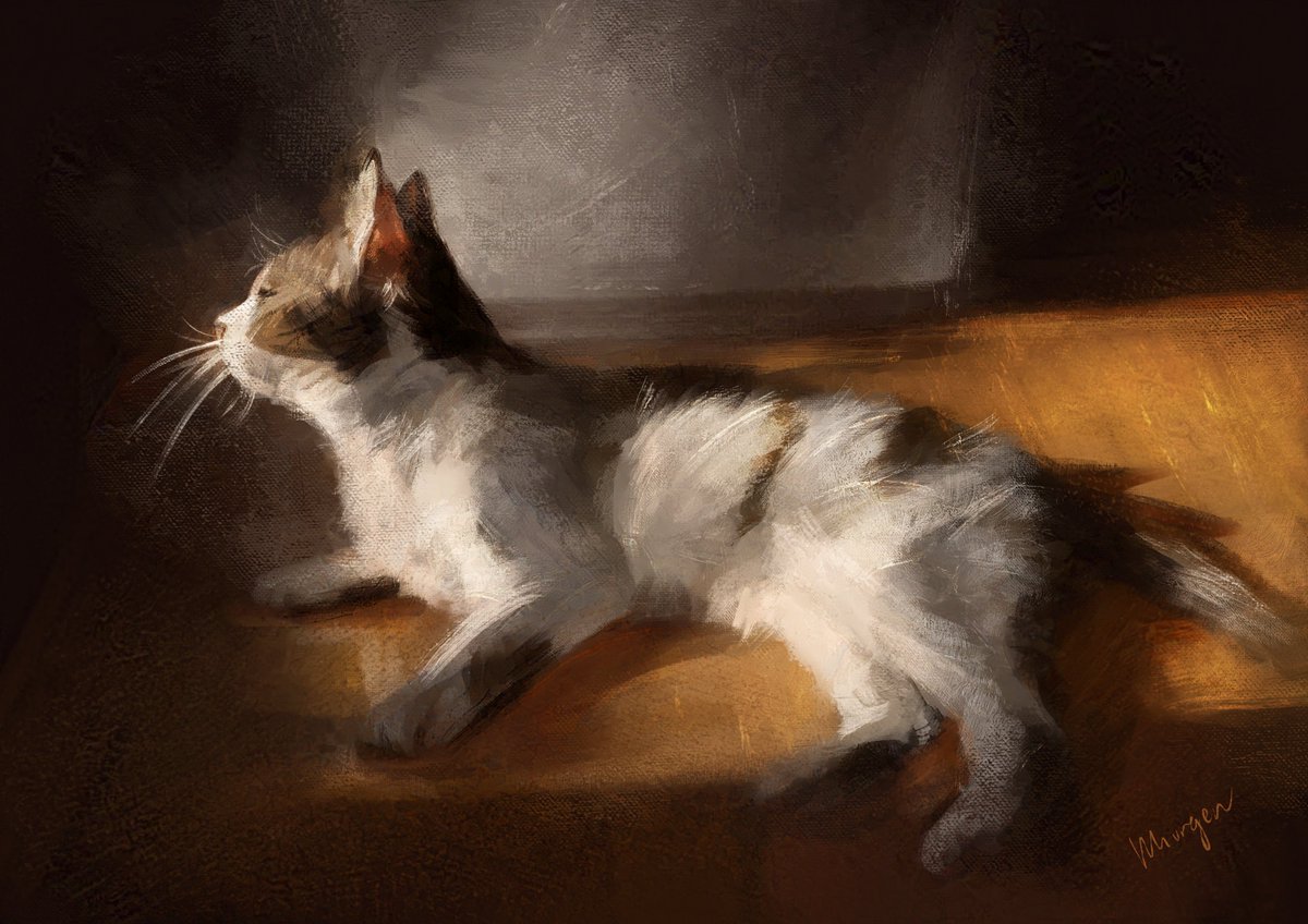 Our resident senior citizen enjoying some sunshine ❤️

#Art