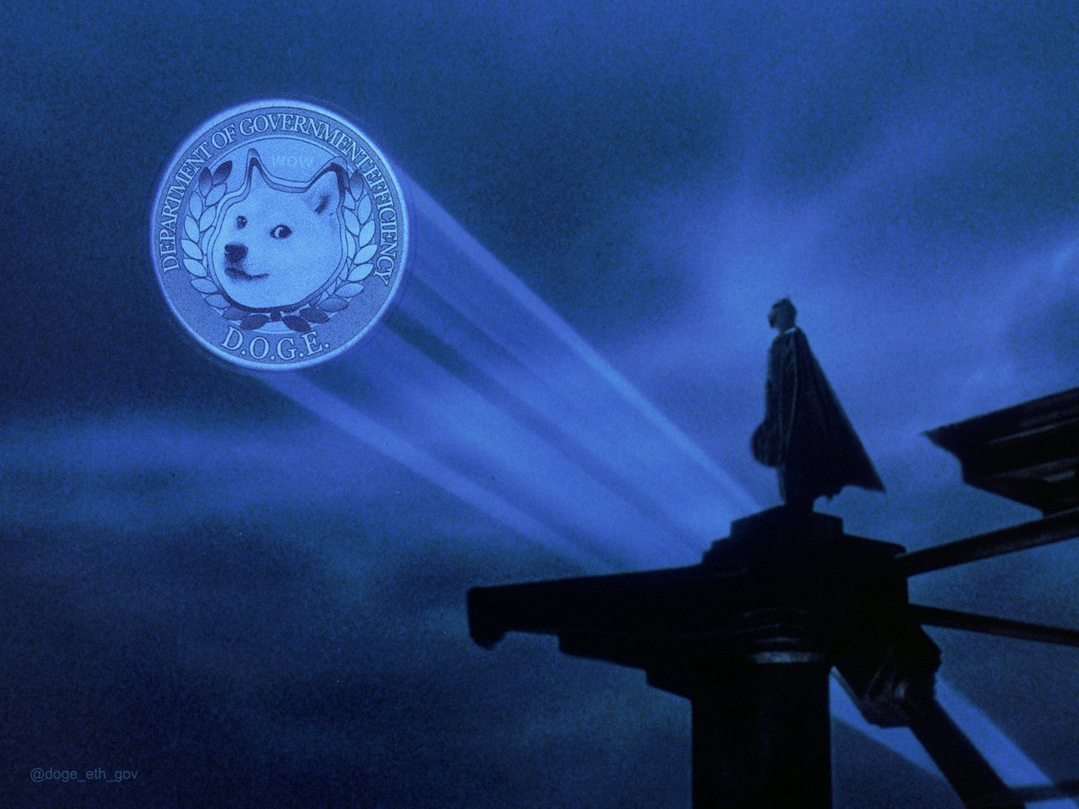 D.O.G.E. Memecoin tweet media