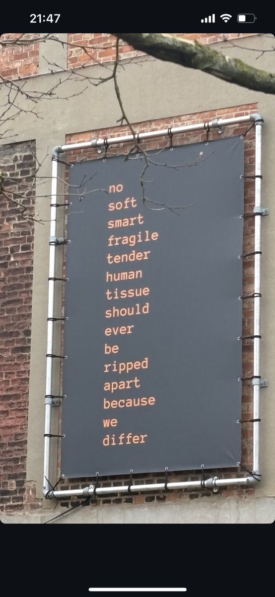 Honey (@honeyeuphrates) on Twitter photo 