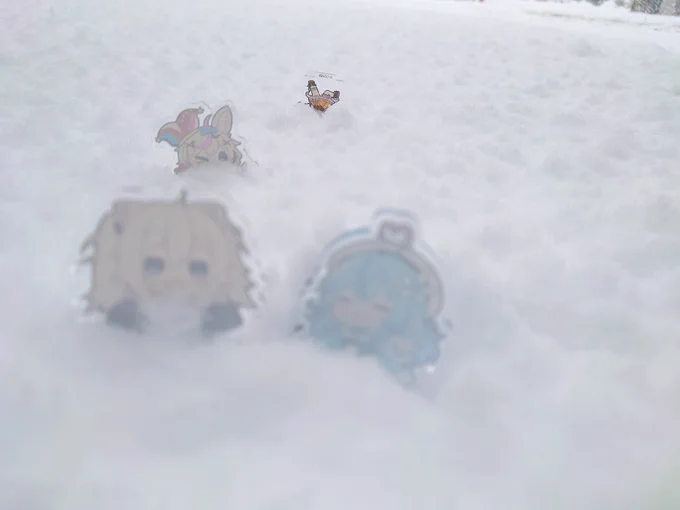 雪ーーーー!!! 
