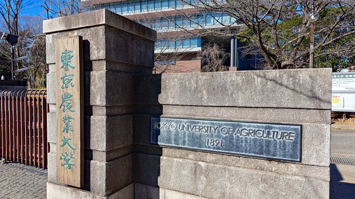 Acculus,Inc. tweet media