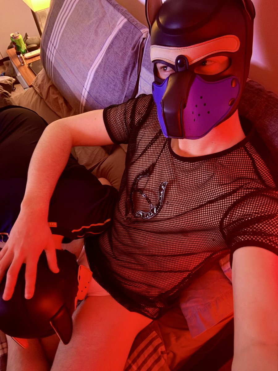 Cobi 🐾 🔜 Club Locked tweet media