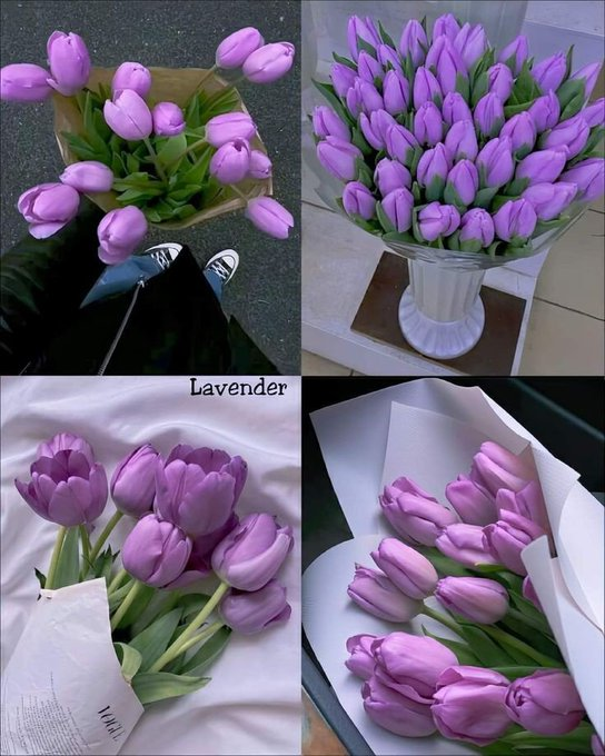 Exulansista's tweet image. tulips.