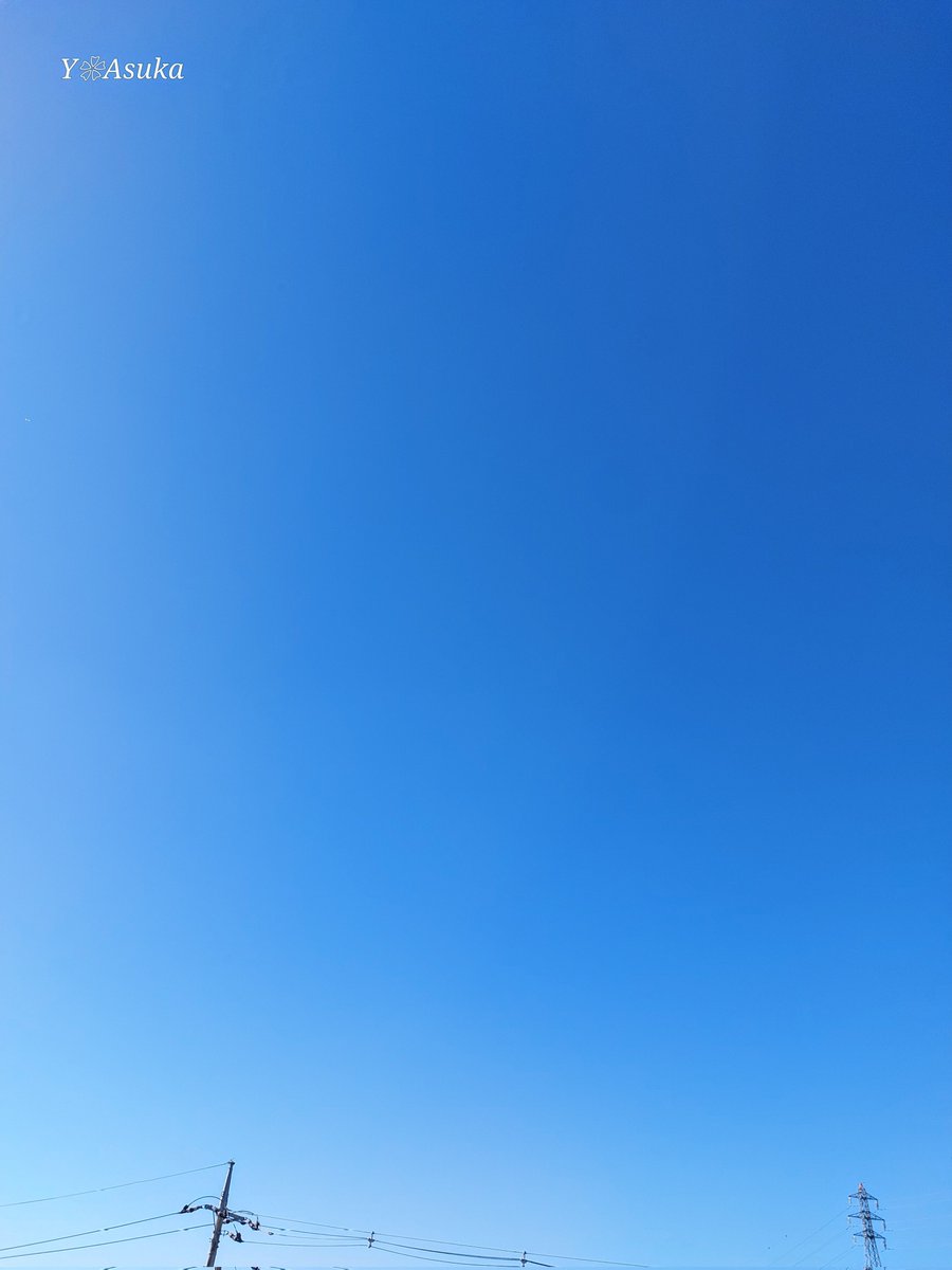 yumeasutw's tweet photo. 澄みわたる #青空 にお日様燦々✨
穏やかな快晴の朝です☀️

#朝空
#a2025 #a0209 #a202502 https://t.co/MtCsVFIjwl