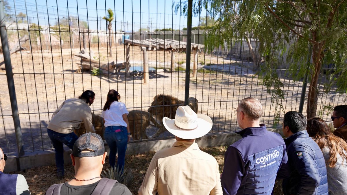 Daniel Almanza tweet media