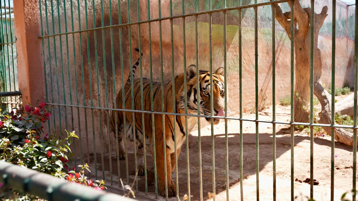 Daniel Almanza tweet media