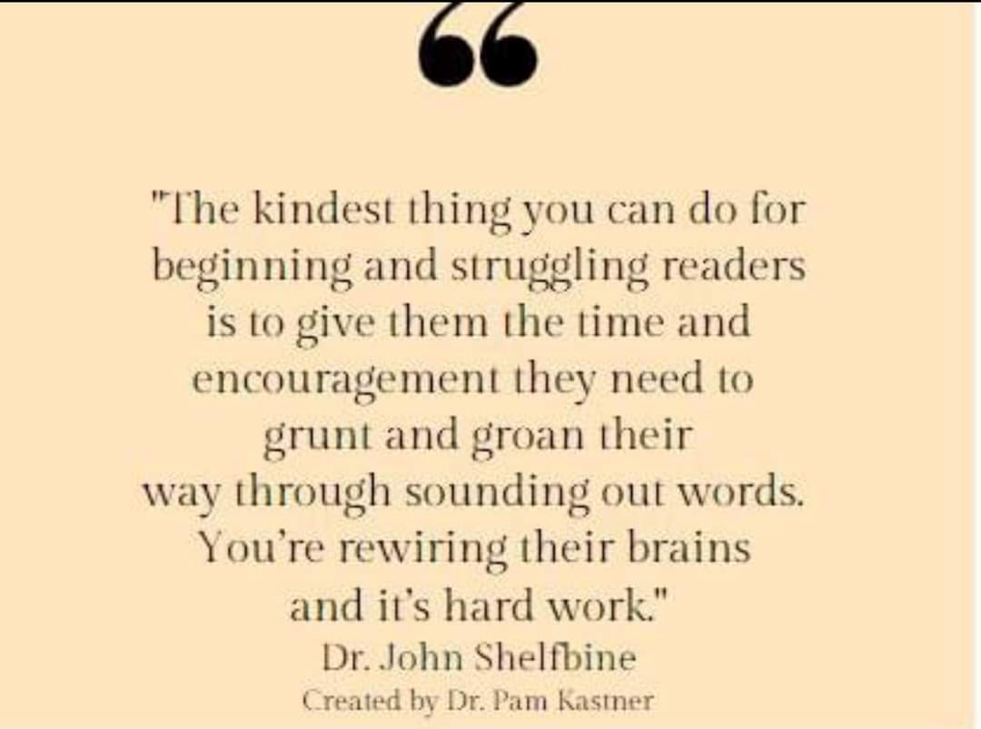 YES! Sometimes we expect quick decoding skills too soon. I try to remember that a caterpillar only becomes a butterfly through struggle! #PKVProud