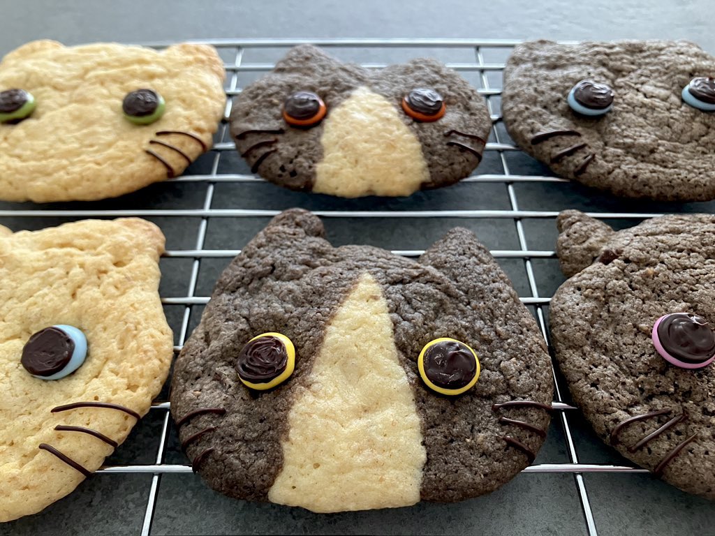 spcookies20's tweet photo. ごろごろチョコのネコチャンククッキー https://t.co/BMeLZxfuBk