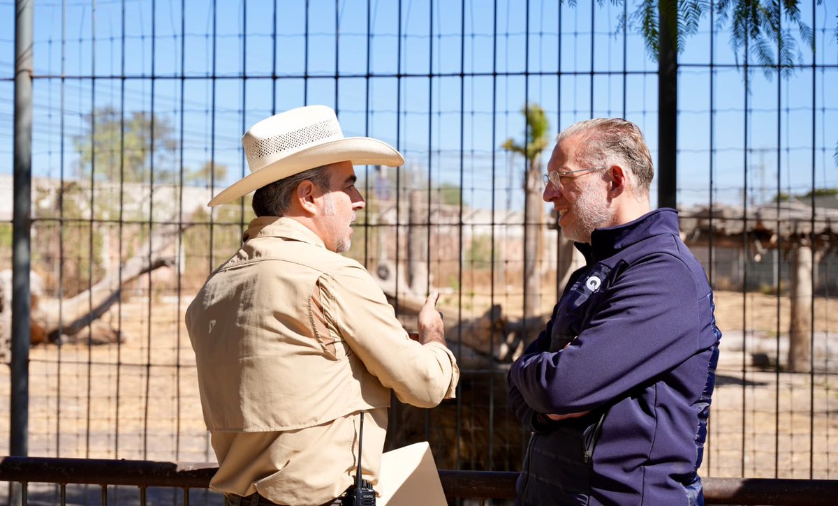 Daniel Almanza tweet media