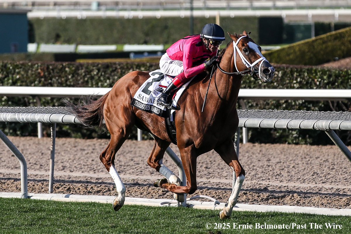 Ernie_Belmonte's tweet photo. There Goes Harvard takes the G3 San Marcos under @FrankieDettori for trainer @mwmracing. https://t.co/1MToiQf65a