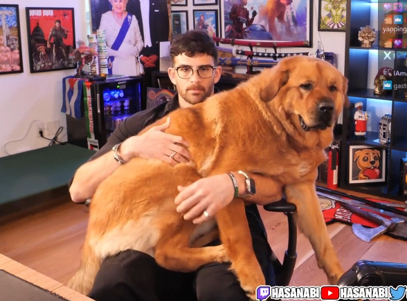 hasanstinyhead's tweet photo. she has a bigger head than he does https://t.co/fLJXjBpLKP