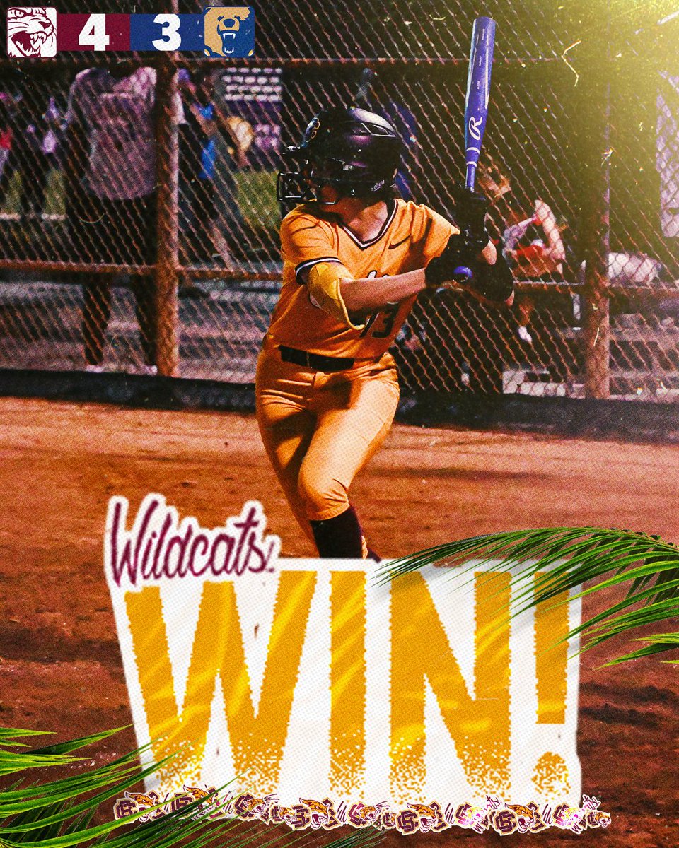 A WALKOFF FOR WIN ☝️ 

#𝙃𝙖𝙞𝙡𝙒𝙞𝙡𝙙𝙘𝙖𝙩𝙨 | #𝙋𝙧𝙚𝙮𝙏𝙤𝙜𝙚𝙩𝙝𝙚𝙧