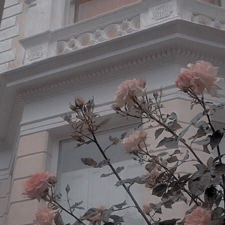 ladyofthed0ves's tweet photo. ꨄ||APHRODITE||ꨄ https://t.co/H56WNXpO1y