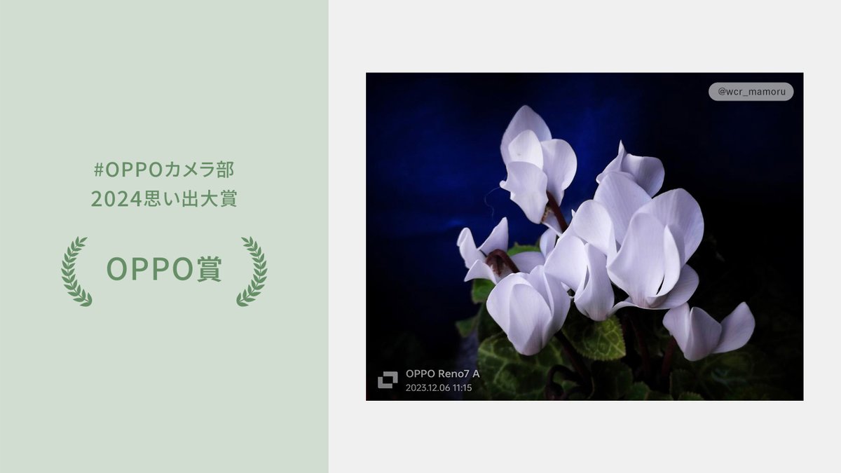 OPPOJapan's tweet photo. 📣 #OPPOカメラ部 2024思い出対象結果発表🎊

受賞者はこちら🔽

《思い出大賞》
@tyada007
《OPPO賞》
@hasuyan_gadget
@wcr_mamoru
《きらり賞》
@echipata
@810Valley
@saoringa67

皆様、たくさんのご投稿
誠にありがとうございました🙇 https://t.co/4NjLQVFTR0