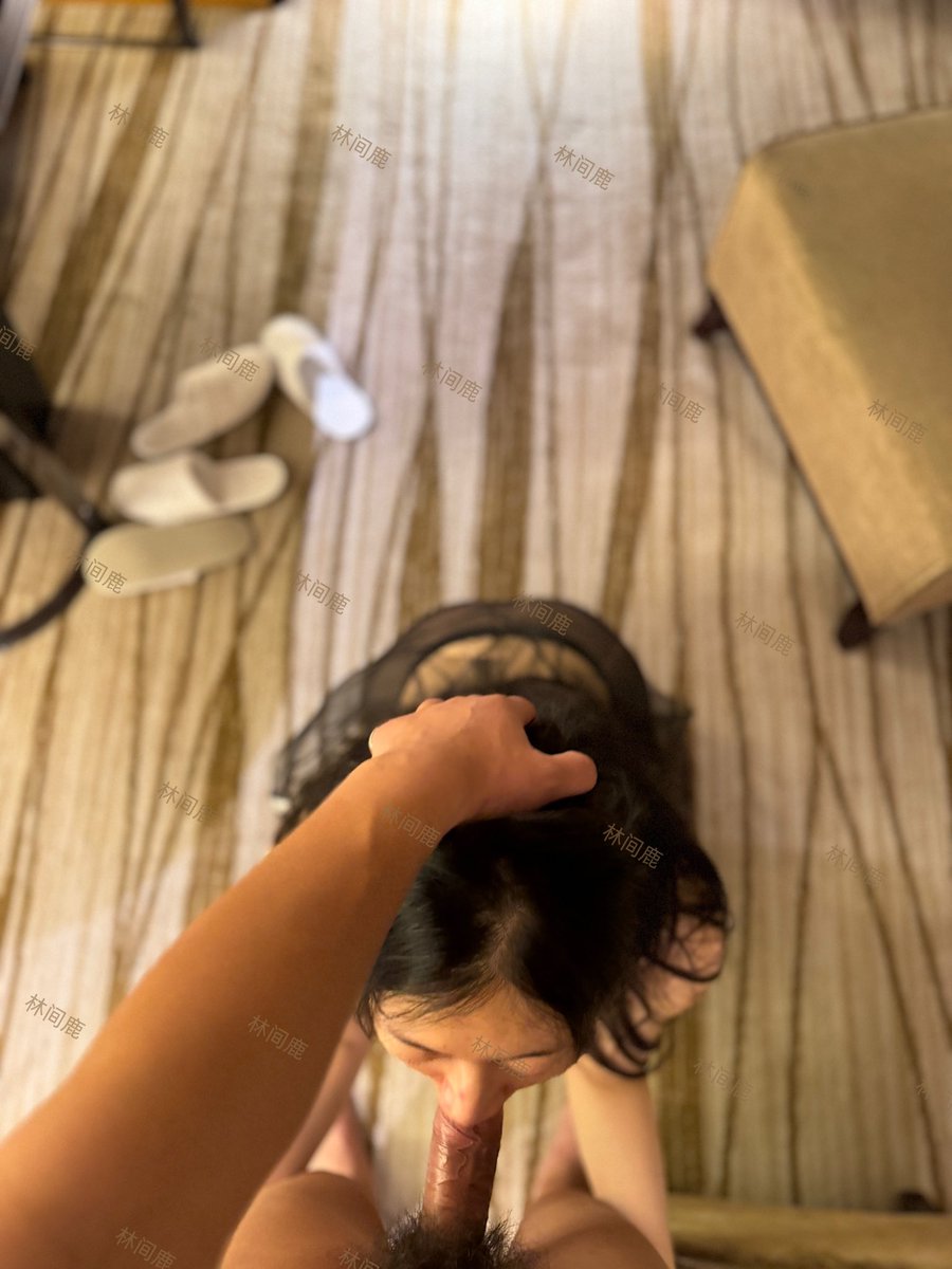 林间鹿 tweet media