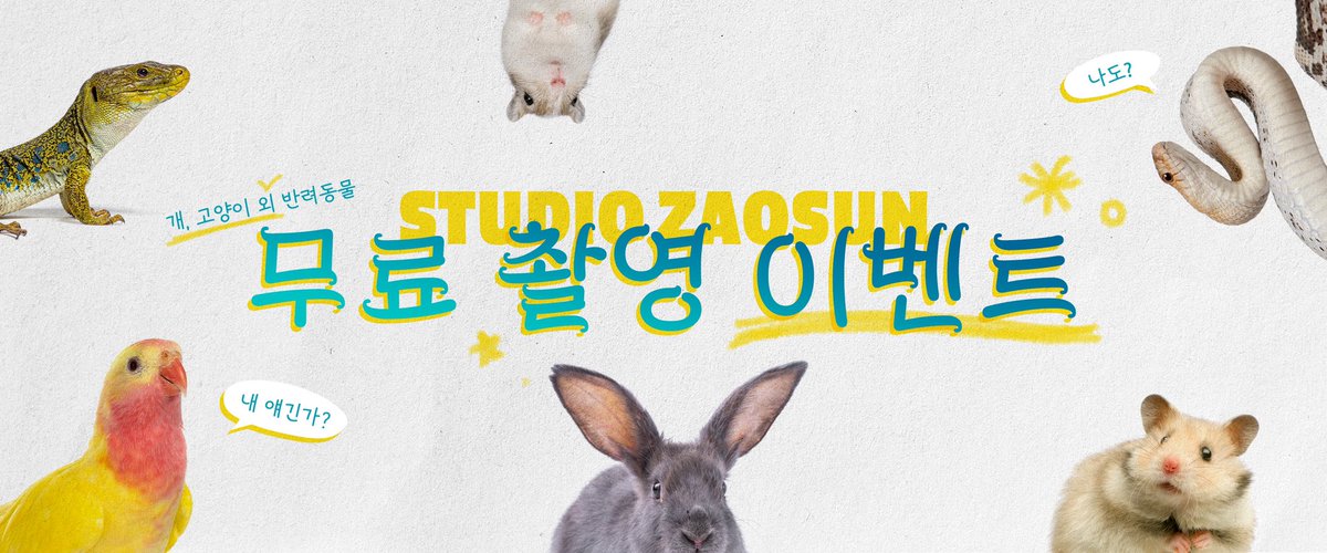 ✨개, 고양이 외 반려동물 무료 촬영 이벤트✨

앵무새🦜거북이🐢햄스터🐹토끼🐰도마뱀🦎... 
더 다양한 반려가족들과 만나기 위한 
스튜디오 자오선 무료 촬영 이벤트!

개와 고양이 외에도 인간과 함께 살며 눈을 마주치고, 밥을 먹고, 머리를 맞대곤 하는 여러 반려동물과 만나고 싶어요.