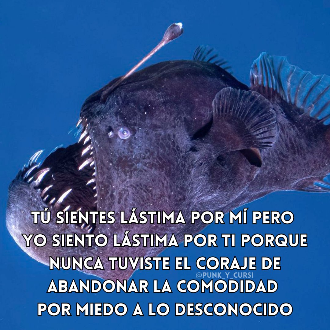 PPT - III Unidad: Ecosistemas y Recursos naturales “Los Biomas Acuáticos 2°  parte” PowerPoint Presentation - ID:5312935, image size:1080x1080