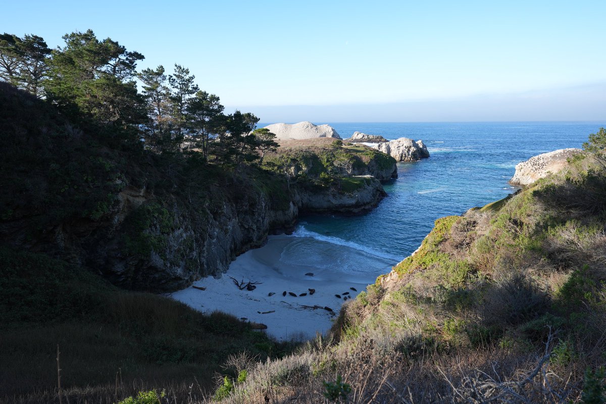 hellonatterrrs's tweet photo. Point Lobos 🌊🌲#nature #photography   #sonyA7RV #pacific #coast #california https://t.co/lDmfo5lg2K