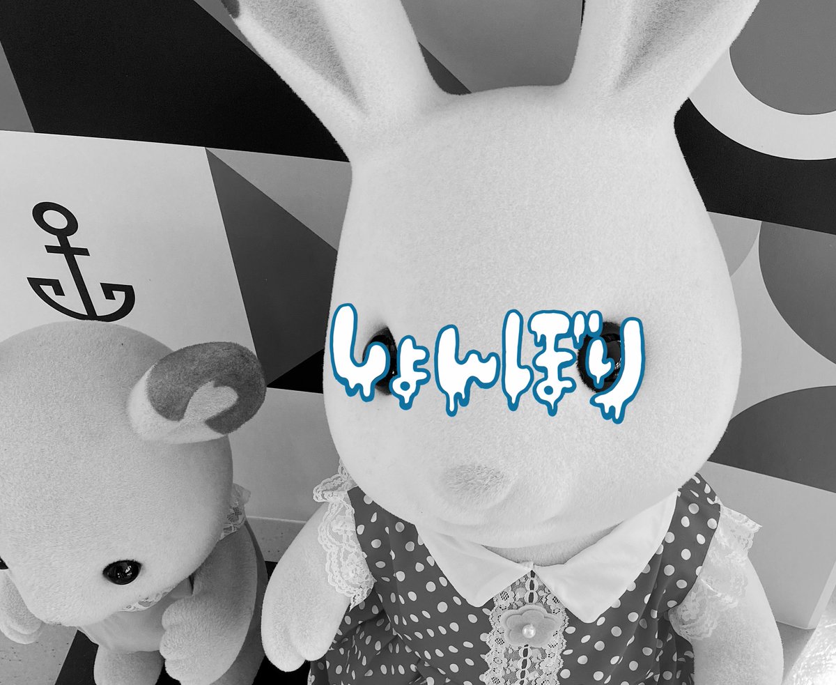 高校生活最後の旅行