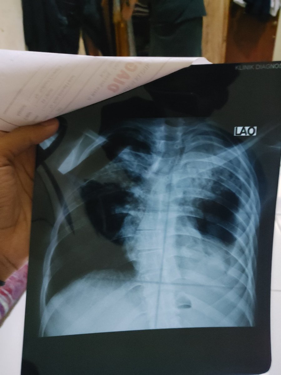 Hajimaste tweet media