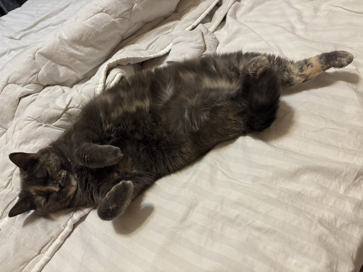 не Евгений, но Константин tweet media