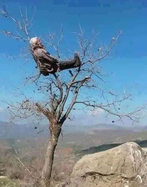 JShoofe's tweet photo. ...نحــنُ في بقعةٍ غيرُ لطيفةٍ من العالمِ، يتبادلُ فيها الناس خبرتهم في السجون خلال مدة الأسر
 مع مراعاة المحافظة والتوقيت ،نظرًا لتطوّر حجم القهر مع الزمن
يتبادلُ أشباه الأحياء فيها مقاطع الموسيقا والأفلام والتمشية في الشوارع ، ومحاولة إيجاد الهوية بالألوان !!! https://t.co/VbGj0WNdiQ