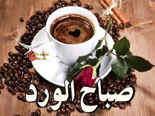 فتحيه حجي (@abwmhmwd7141) on Twitter photo 