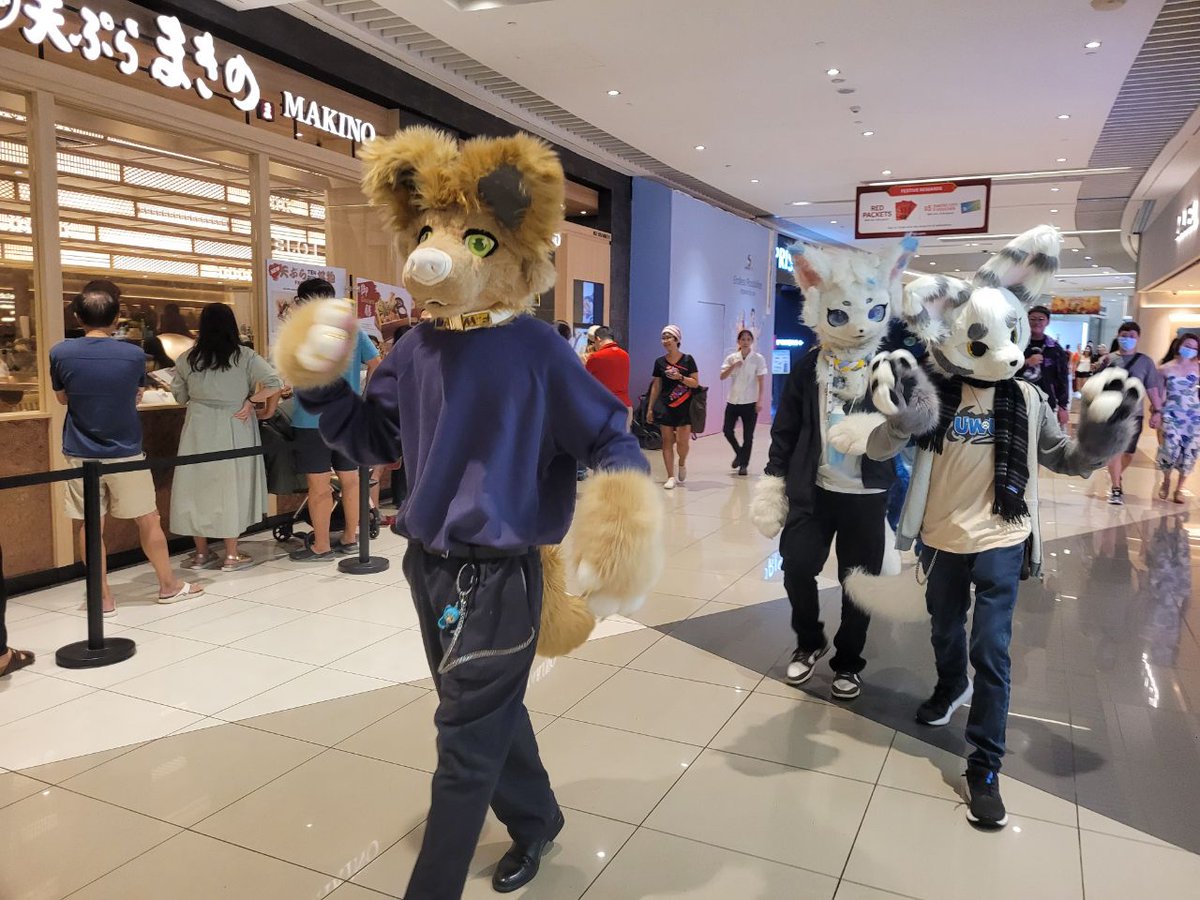 Gyrowoof's tweet image. #Fuzzballs and mall fursuit walk at the Hanami market 2025 today! #SGfurs